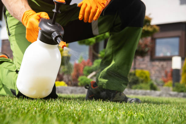 Best Pest Control for Homes  in Carbondale, PA