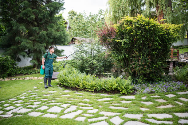 Best Pest Prevention Services  in Carbondale, PA