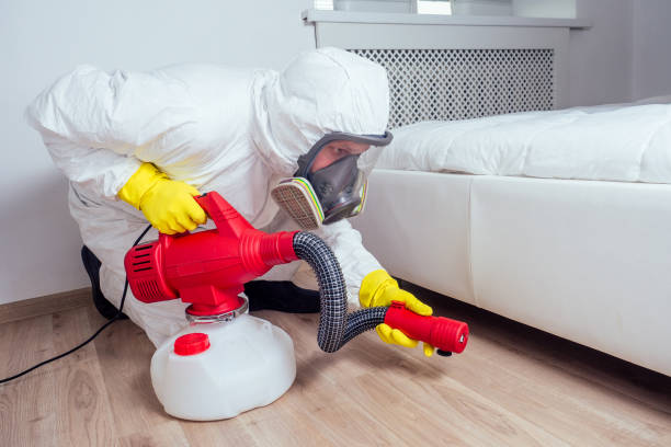 Best Termite Control Services  in Carbondale, PA