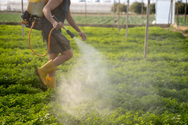 Best Best Pest Control Companies  in Carbondale, PA