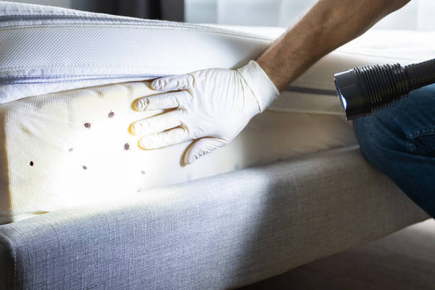 Best Pest Control Cost  in Carbondale, PA